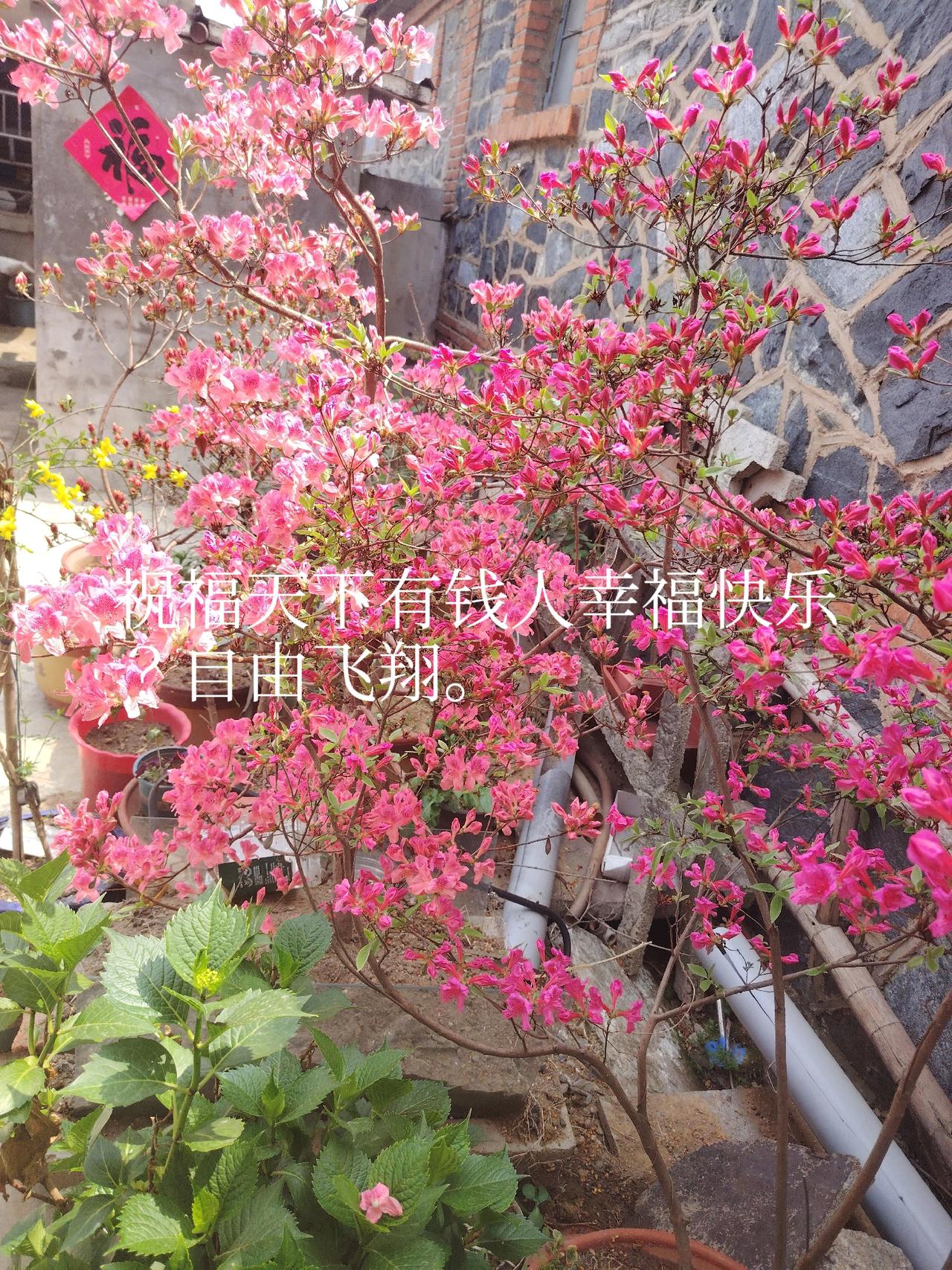 你们俩过的好吗！没有第三方监督执行吗？现在的社合大自由了，奎被那几个钢蛋铜极绑架