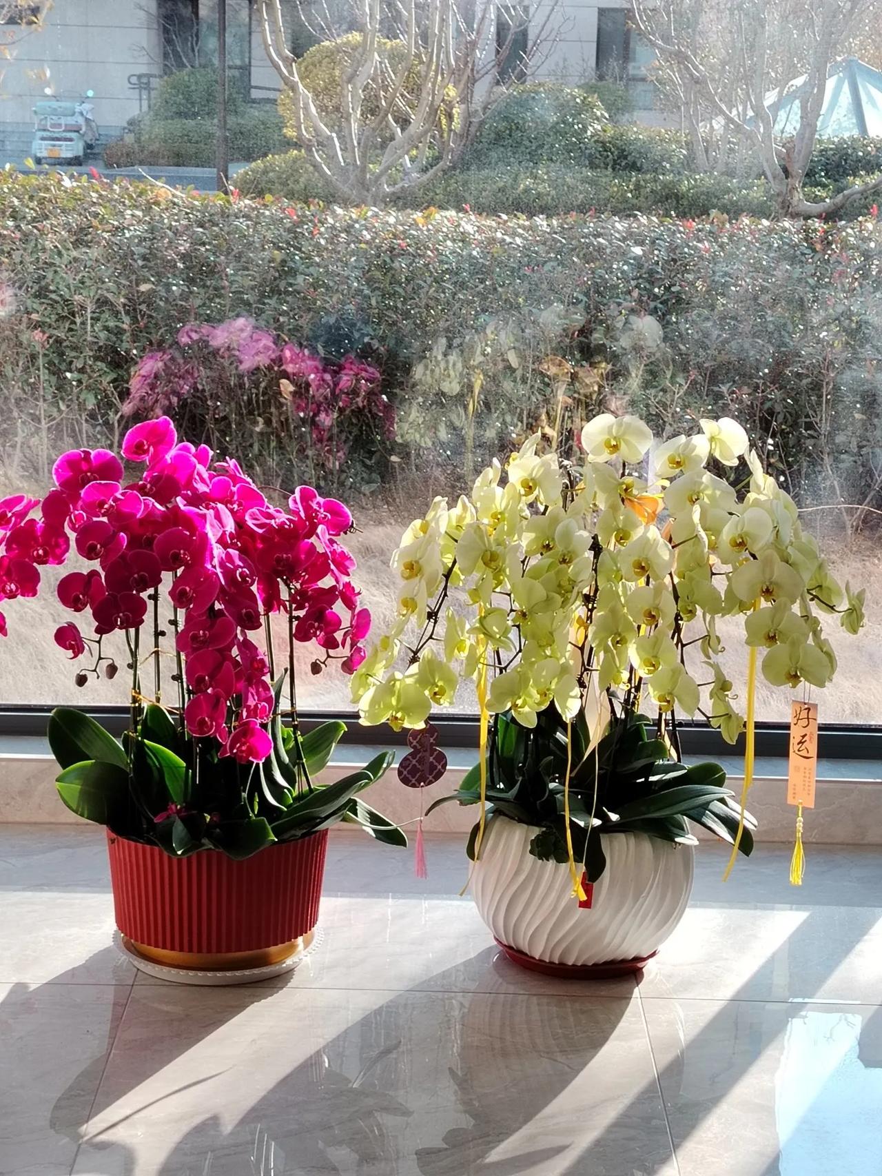 出上：蝶舞花香春色艳，
对下：鸟鸣叶秀夏荫凉。