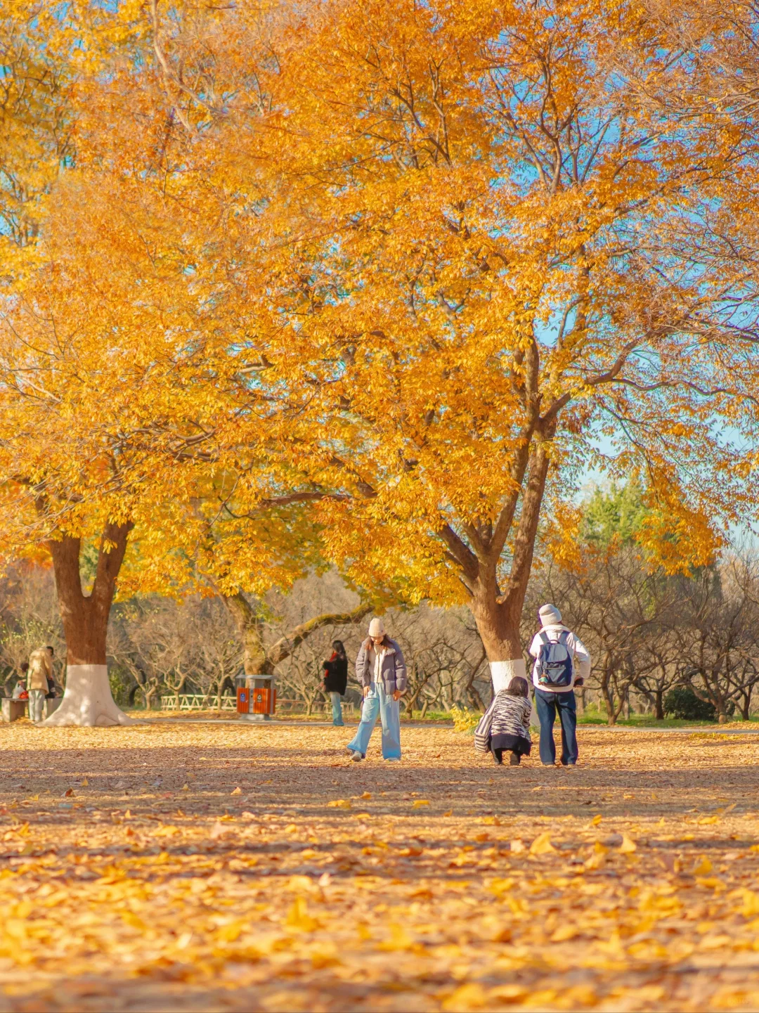 🍂｜秋风唤我出门