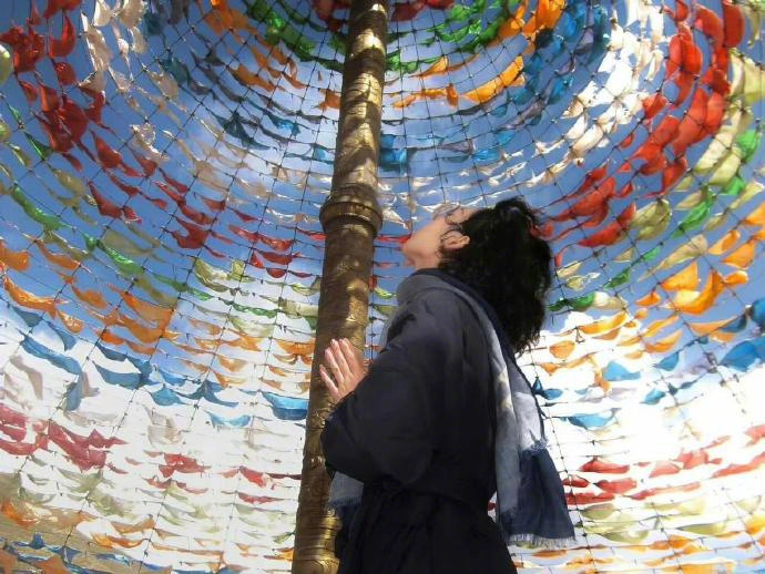 “   无人兜底的人生，   你必须要像树一样生长，   成为自己的大树。” 