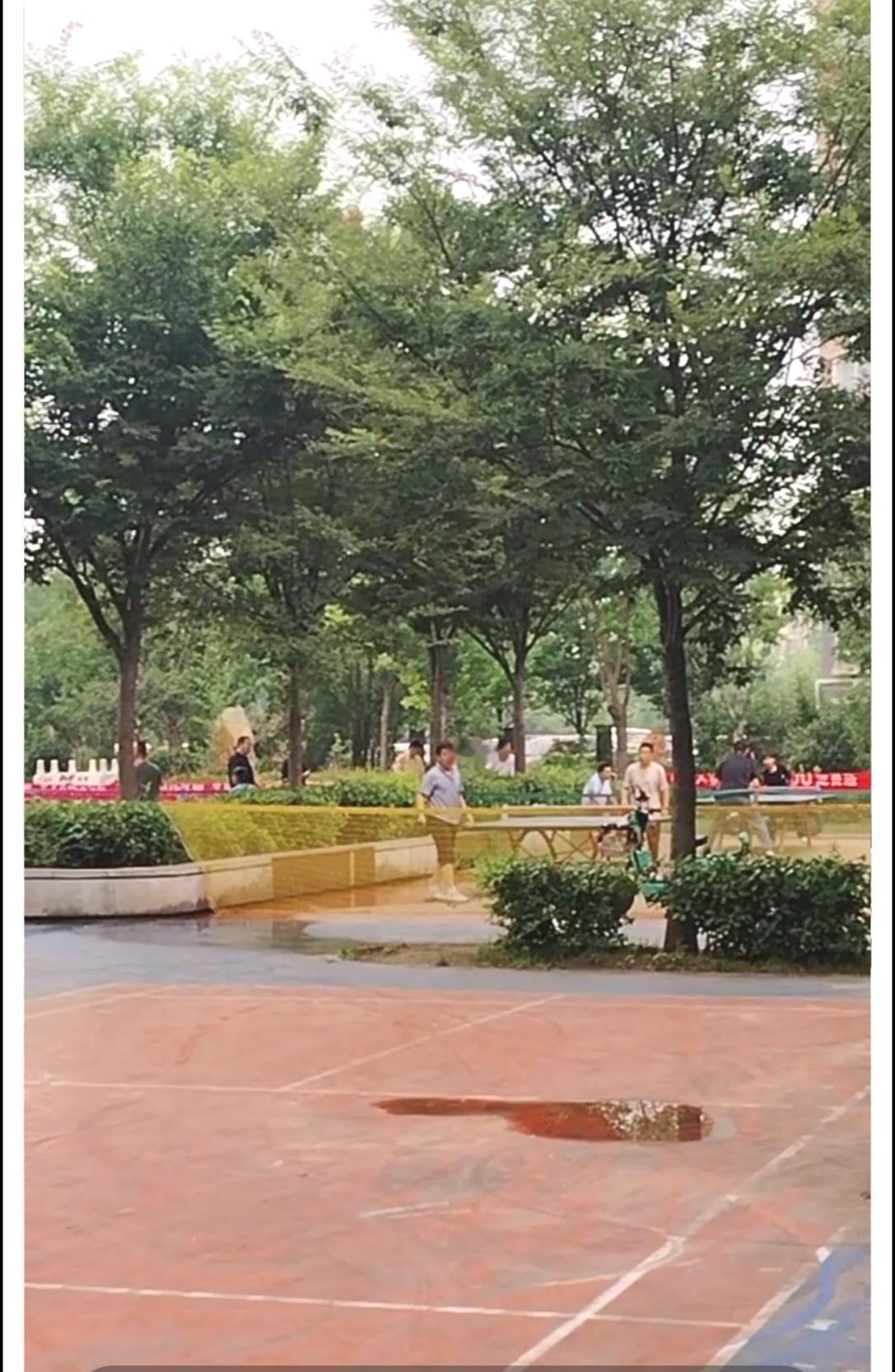 今天早晨起床洗漱后，就步行去了沈丘千字文文化公园广场。公园里的人们，有散步锻炼身