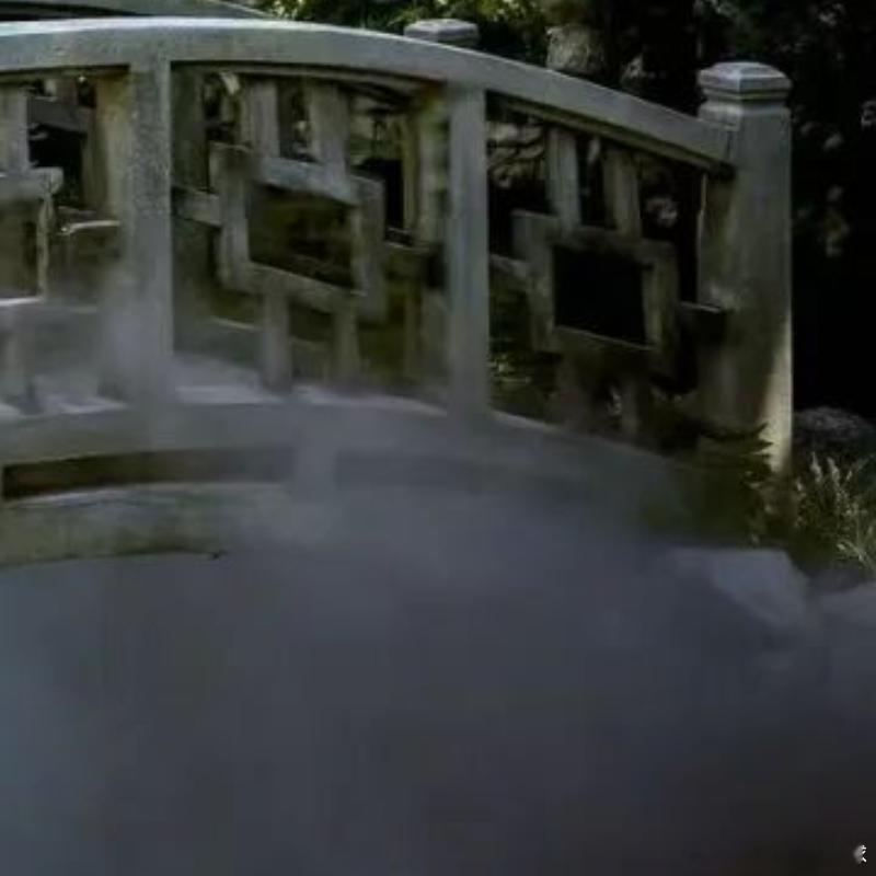 每日一善[超话]  🌿阳光信用每日一善 🌿熊猫守护者[超话] 专注做事，才是