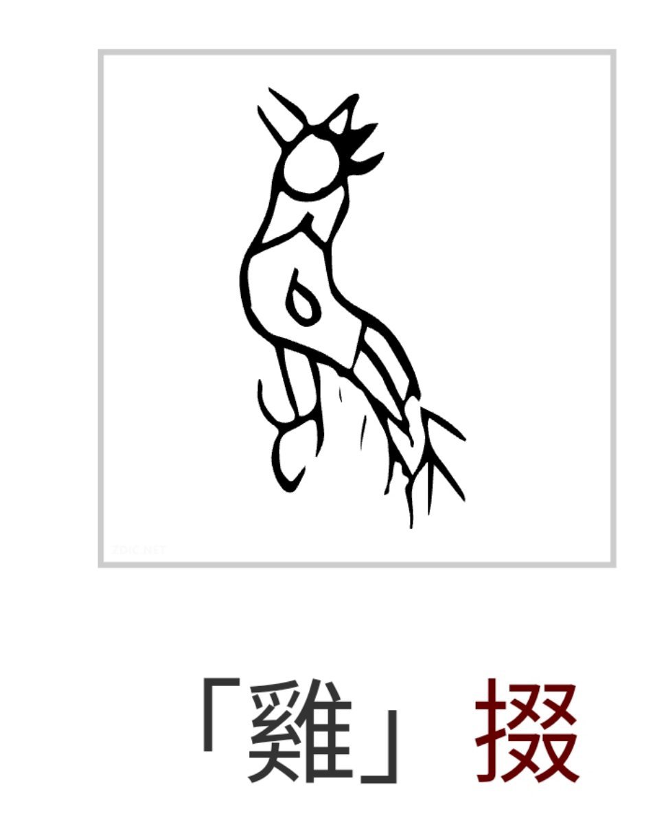 #甲骨文的屎字太形象了#甲骨文的“鸡”“鹿”一看即知，就是一幅幅小画。¹但理解“