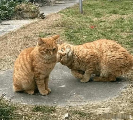 #听说现在流行这样发旅行朋友圈# 谐音旅行朋友圈，这创意我给满分！看来我也得换换