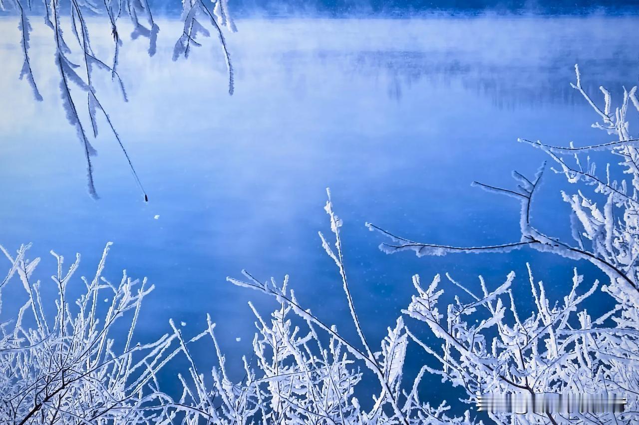 东北的冬，怎能不看吉林雾凇。“寒江雪柳，玉树琼花？吉林树挂，名不虚传。”
这组照