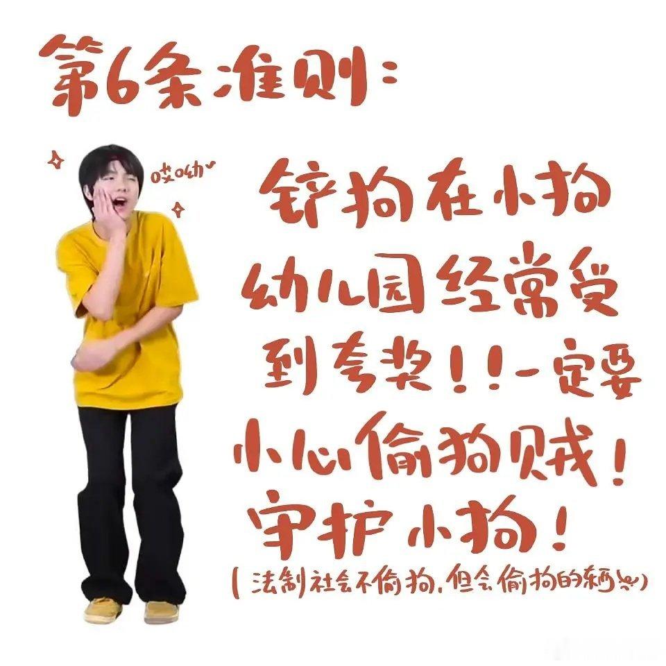 皓狗饲养指南🥰 