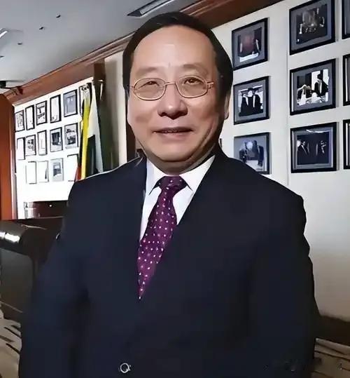 高志凯提出了一个反向设问：俄罗斯既然觉得经蒙古向中国输气是一条好路，也可以让俄气
