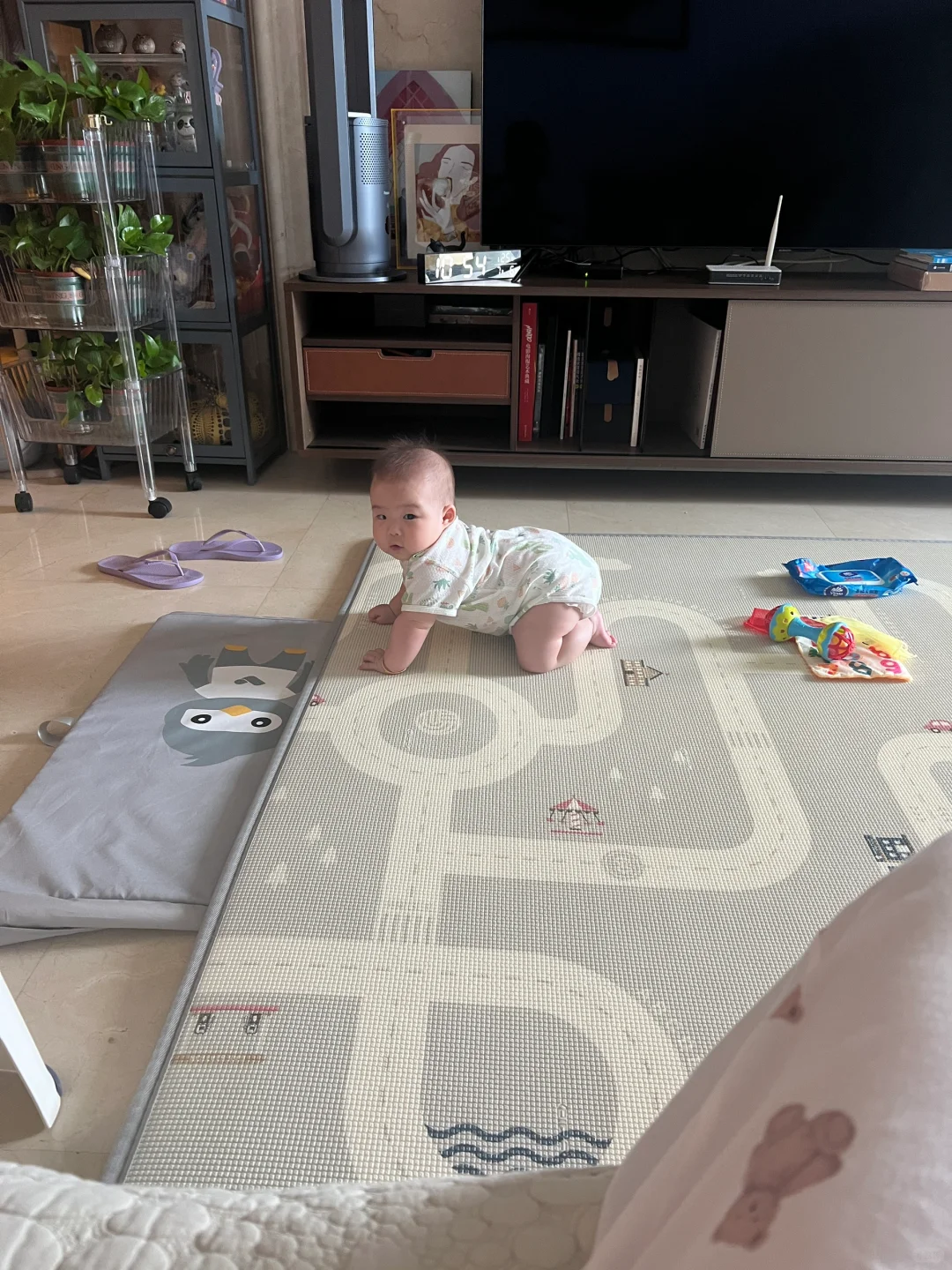 六个月宝宝解锁了四点爬✌️