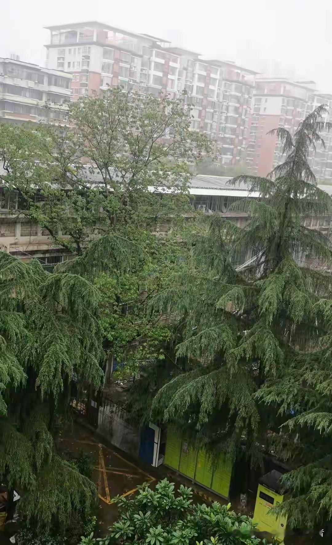 大范围强降雨横扫湖北！这场暴雨，你平安到岗了吗？
 
今早一场暴力暴雨席卷湖北，