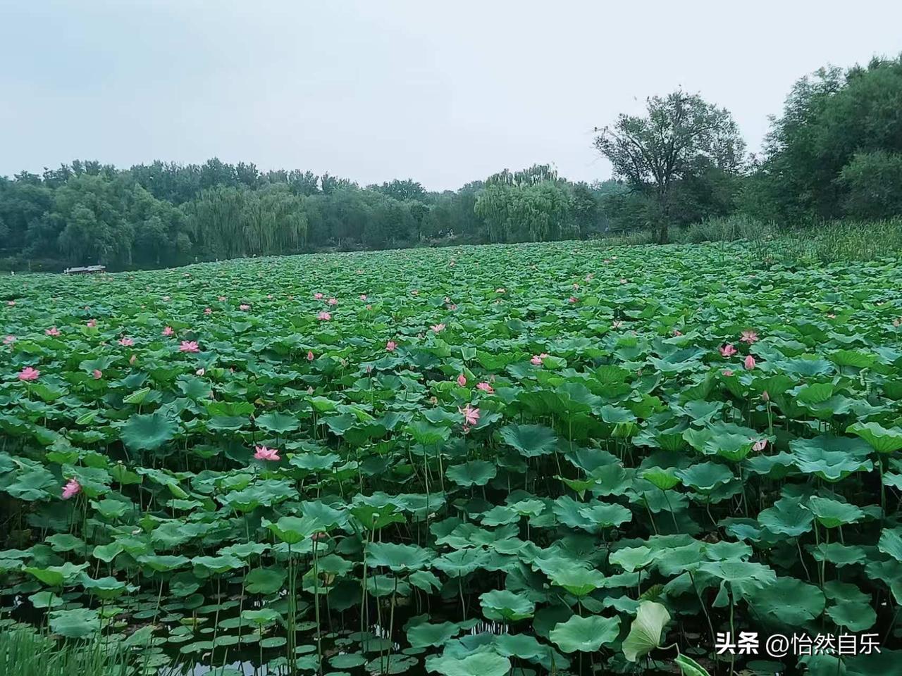 你会选择独闯南太行吗从小生在乡下山区，放眼望去全是大山，早就看腻了连绵的山体，压