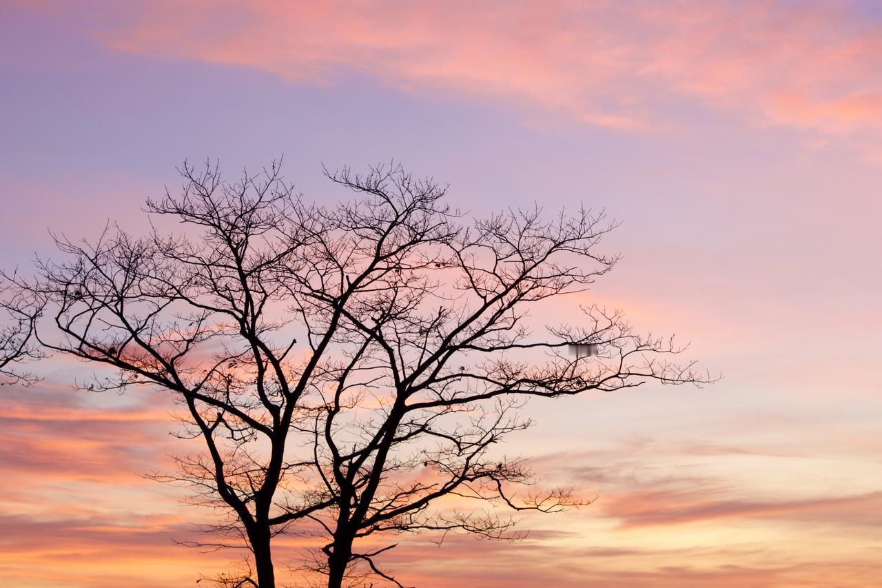人要有翻篇的能力，不依不饶就是画地为牢。这个世界没有真正快乐的人，只有想得开的人