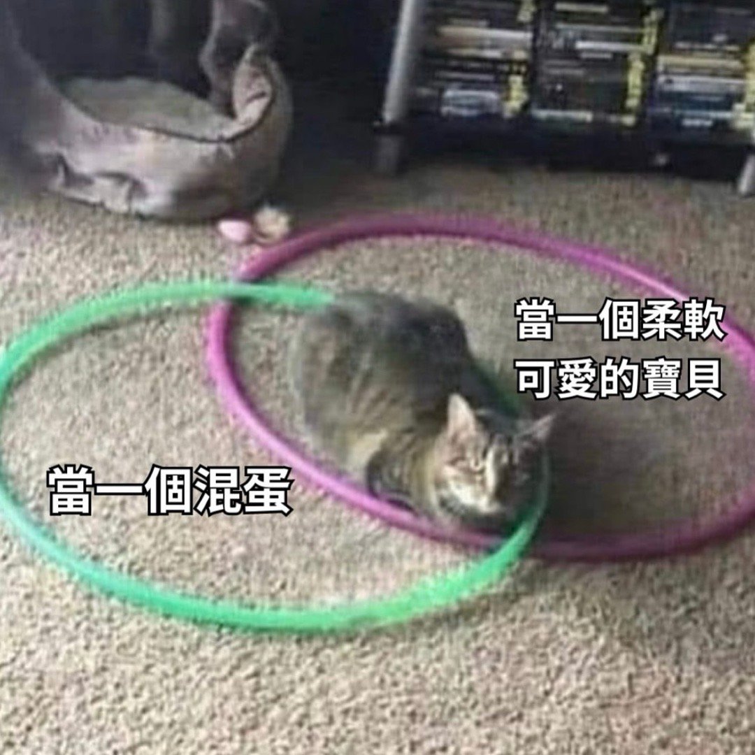 是谁的宝贝！#meme# ​​​