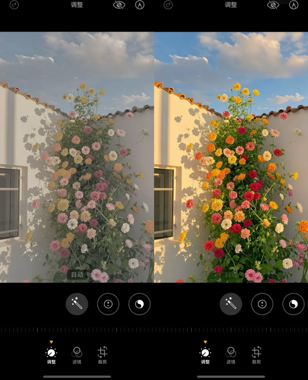 终于知道这种浪漫花朵怎么调了好好看啊！