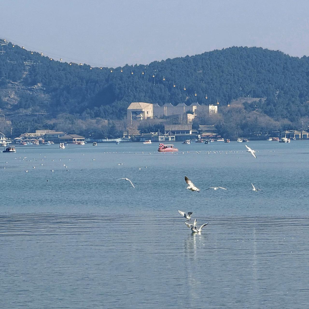 实话实说!徐州去过3次才懂的4个宝藏地！
 
1. 🌊 云龙湖：徐州的“城市客