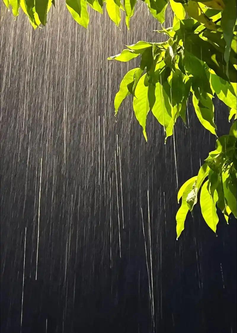 一位存款百万的普通工薪族说：
“致富的顶级诀窍就是，你不停的存钱，不停的存钱，不