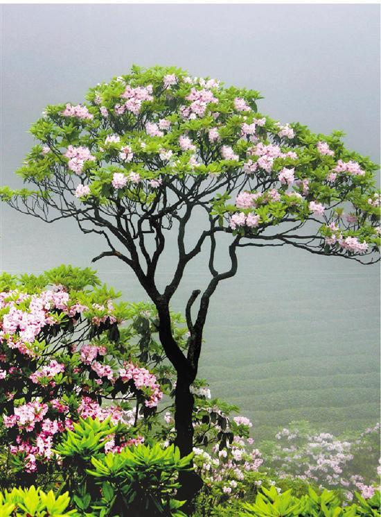 周二盘后传来新消息，周三大A能否迎来4月开门红？
周二盘后新消息如下：
据媒体报