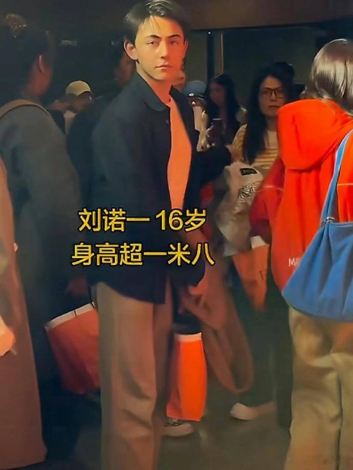 刘烨16岁儿子诺一从小帅到大 