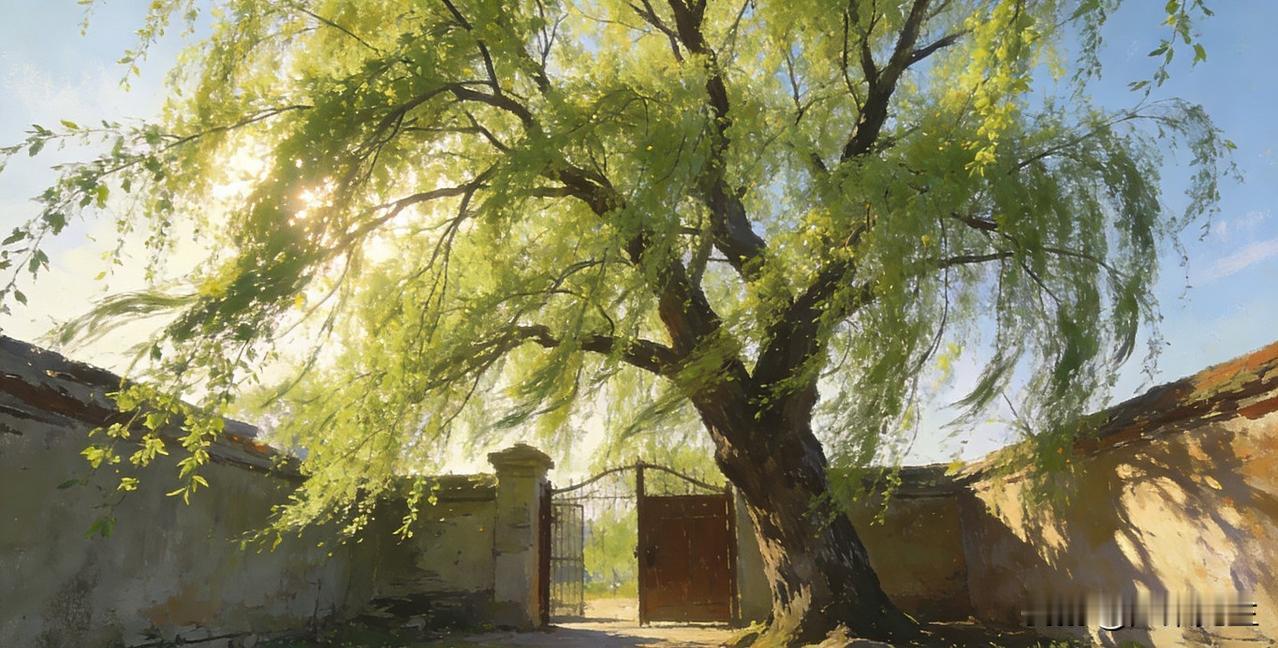 清明时节，春风拂面，我们家乡有个老习俗——家家户户门前，都会挂上一枝青青的柳树枝