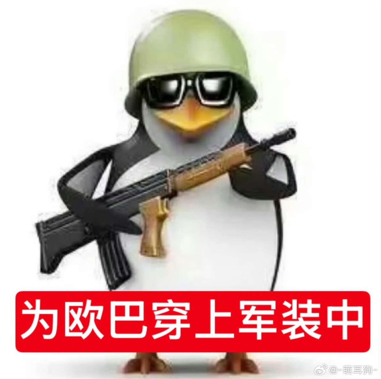 分享图片 ​​​