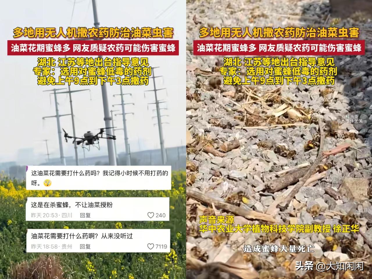 官方这次是动真格了，油菜花花期乱喷药的人，这次真的要慌了。
​看到蜂农看着满地死