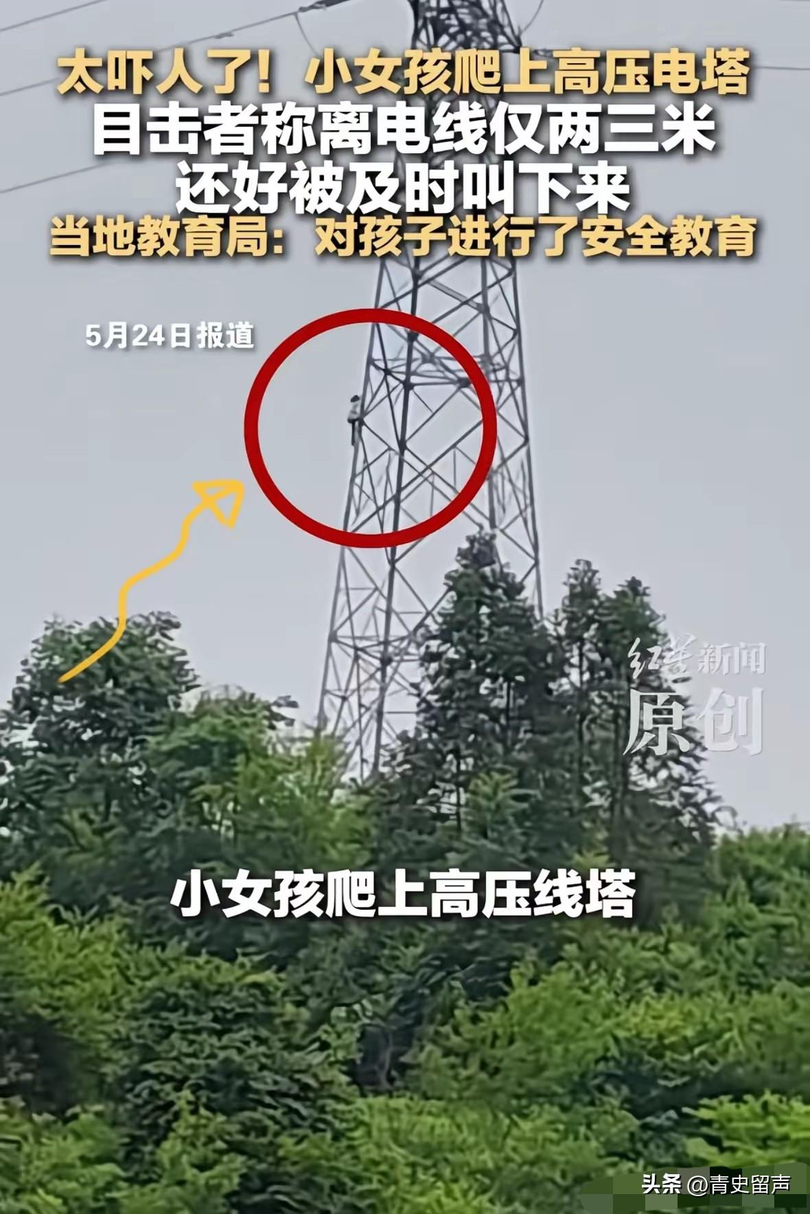 太吓人了！河南信阳，一小女孩跟着奶奶去地里干活，趁着奶奶干活的间隙，独自爬到一个