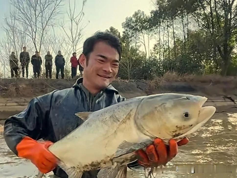 终于知道网友为什么喊李维刚是李赔光。


就在今天，李维刚又更新视频了，还是原来