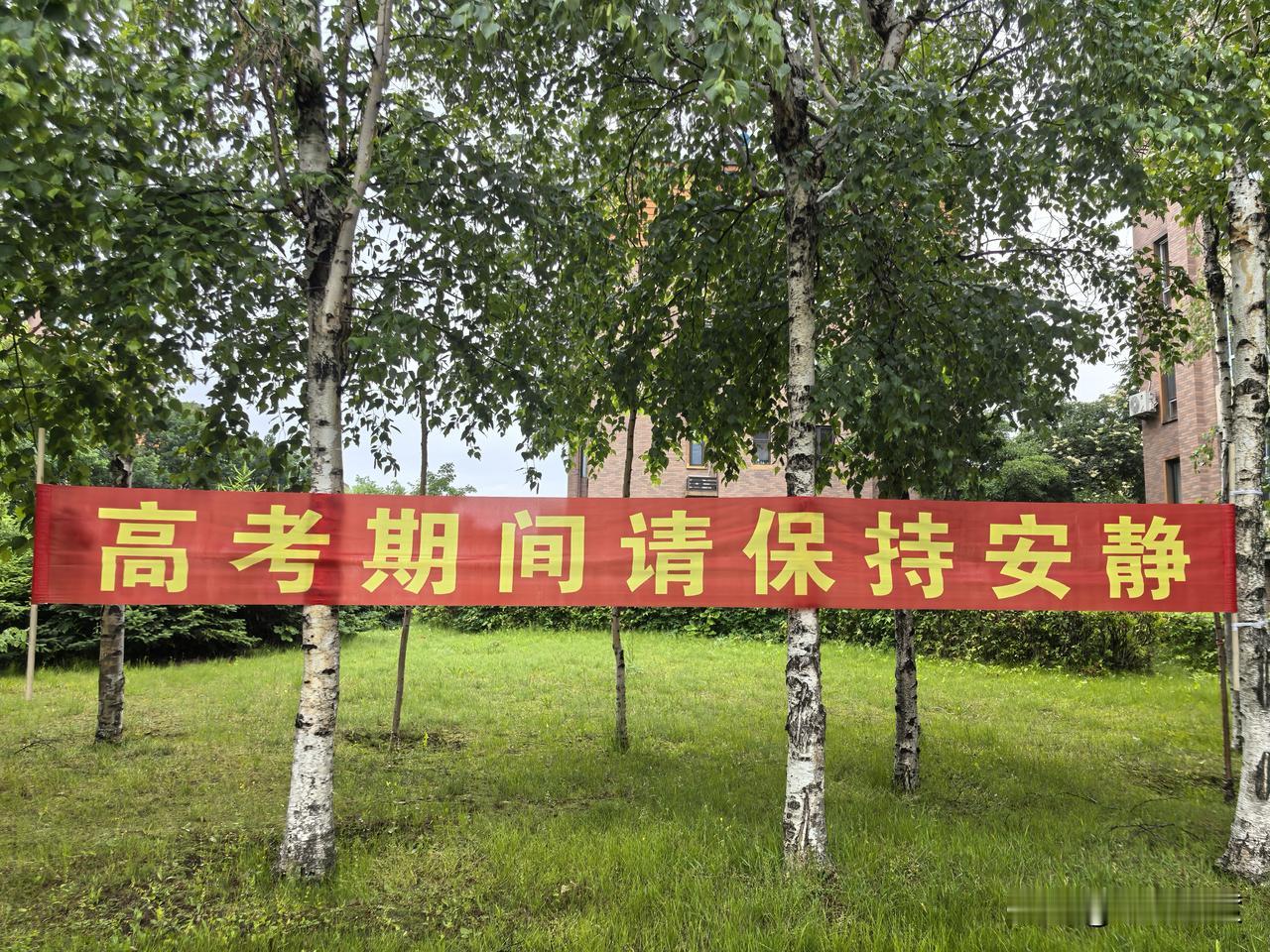 今天是2026年高考的第一天。
早晨一下楼，就发现小区里悬挂着一条横幅：高考期间