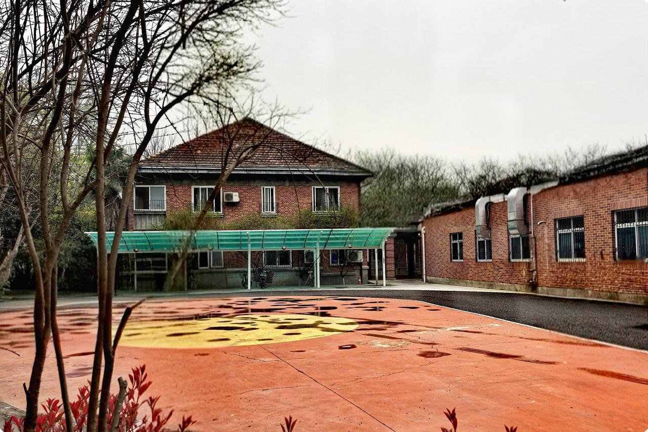 武汉市育才幼儿园的荣光
在岁月长河的波光里，武汉市育才幼儿园静静伫立。它似一座温