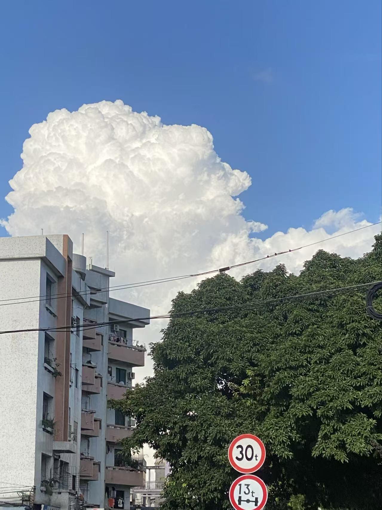 总有人把生活的不顺全部归咎于旁人，总盼着能遇见一个可以全权依靠的人，可慢慢才看清