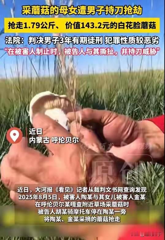 就为了一斤多蘑菇，蹲三年大牢，这买卖亏到姥姥家了！
 
2025年夏天，内蒙古呼