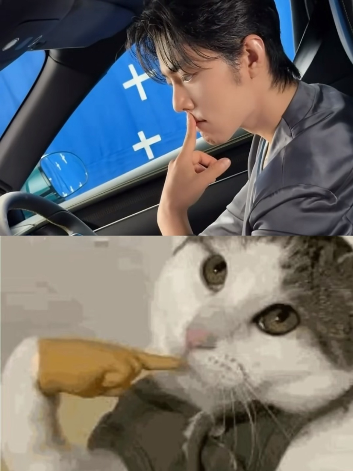 会是战战喜欢的哈哈哈哈哈哈哈！！！ 