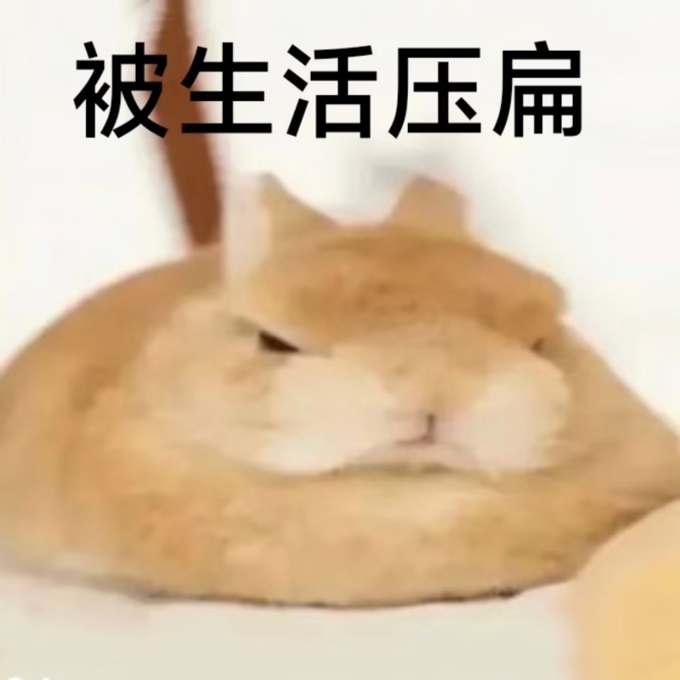 这几天睡得跟猪一样，睡了9个小时醒来吃了个饭，现在又困了 