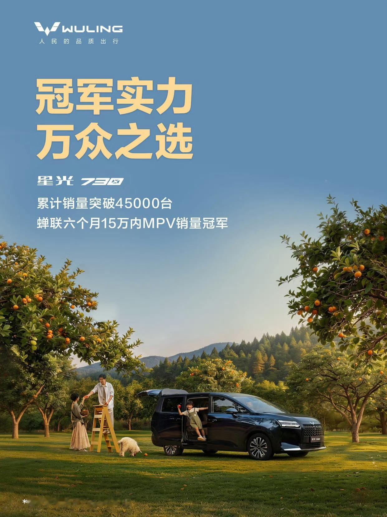 星光730这车很不错，内部空间充裕，一家人出行轻轻松松。关键价格也亲民，还得是五