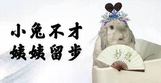 古风小兔🐰
