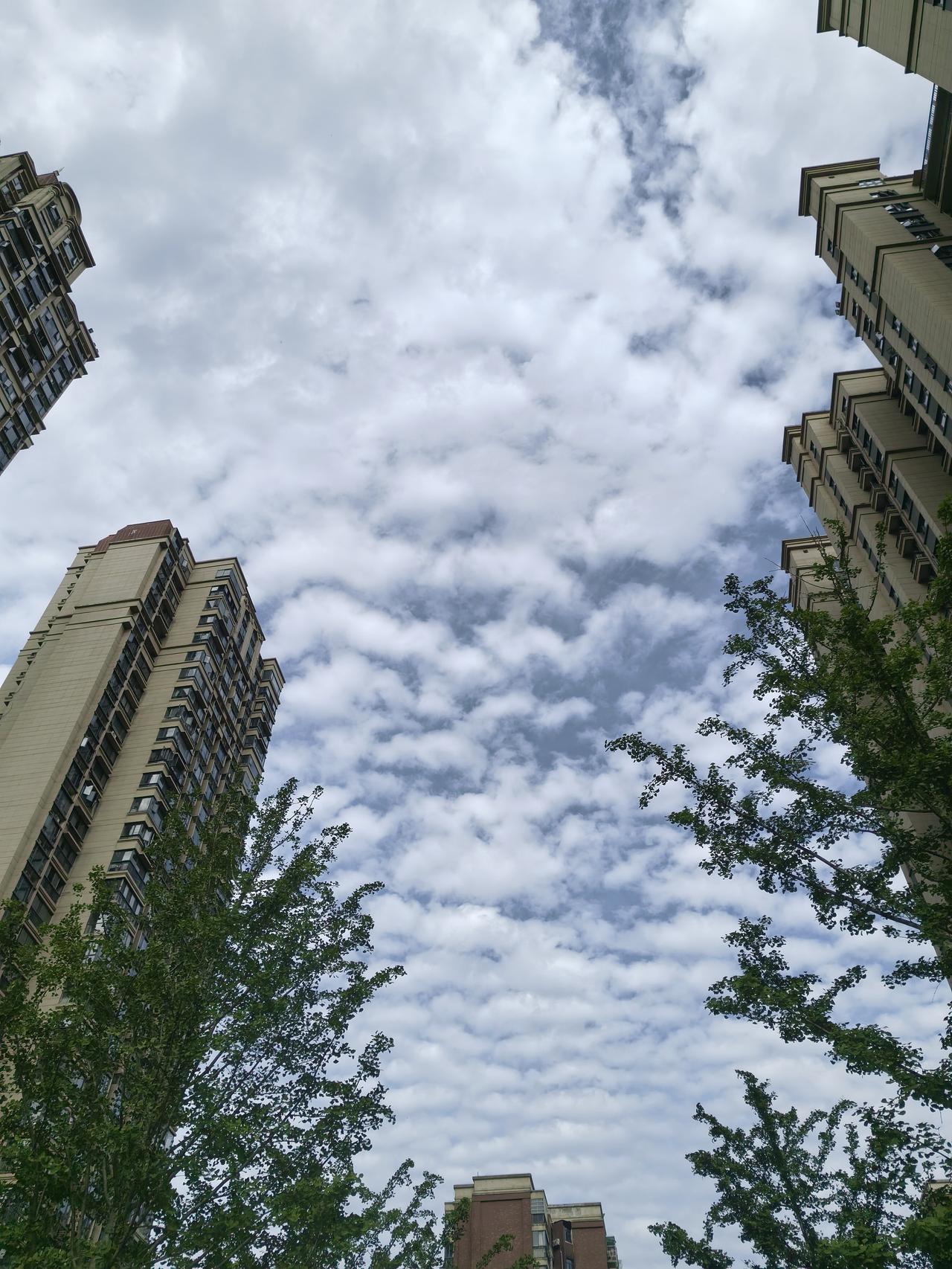 我片区有个一楼业主非常蛮横无赖，他的门口不让别个停车，还经常提些特别无理的要求，