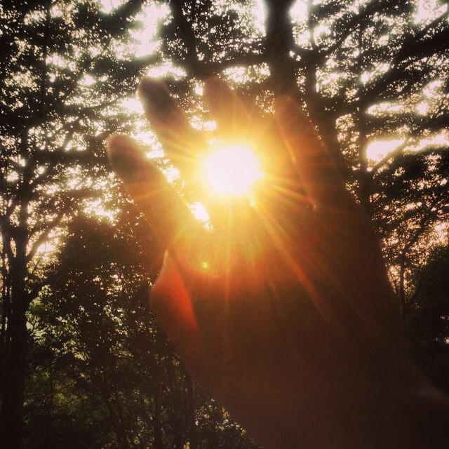 发现一个缓解焦虑的方法:
“凡事不用太过担心，
不用太过焦虑。
如果事情能解决不