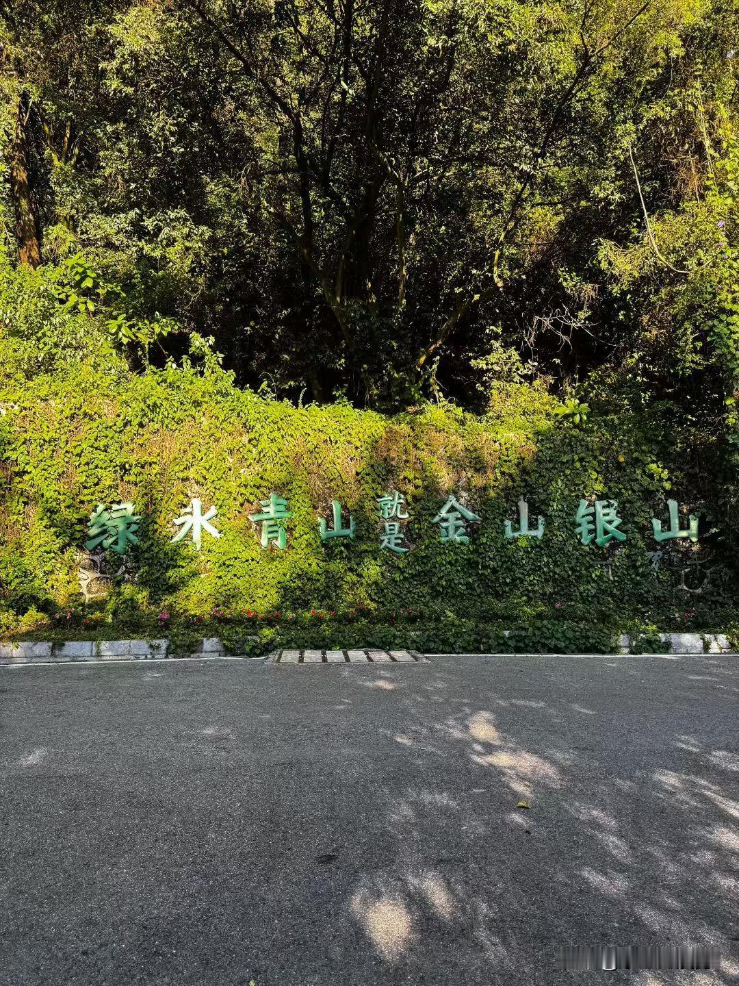 好久好久没得去逛公园了
我也想呼吸呼吸新鲜空气
不知道这个周有没有那个幸运🍀