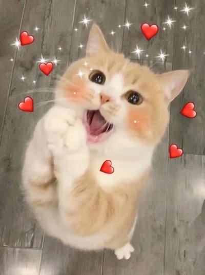 秋裤在东北的地位，绝对不容小觑。寒冷的天气里，秋裤就是保证身体健康的关键。年轻人