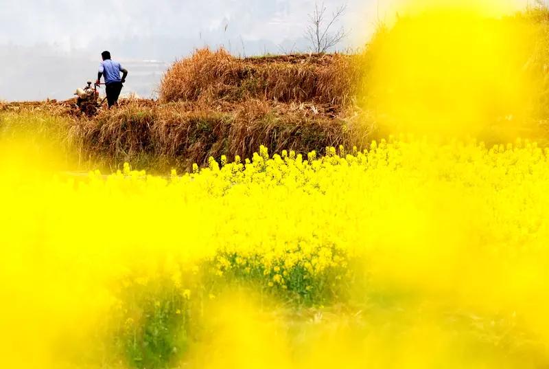 昨天3月29号又是硬撑着干了一天，总算是大方向完成了，又累了个半死，我也不知道这