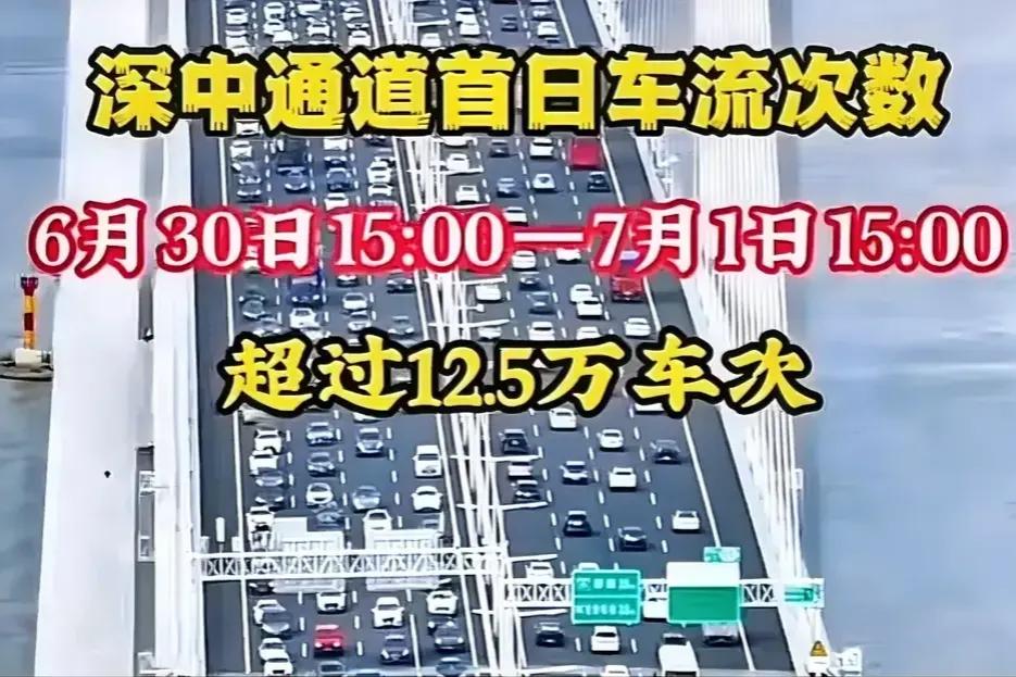 深中通道通车首日大堵车，导致中山到深圳通车时间由两小时负缩短到三小时。当然这是玩