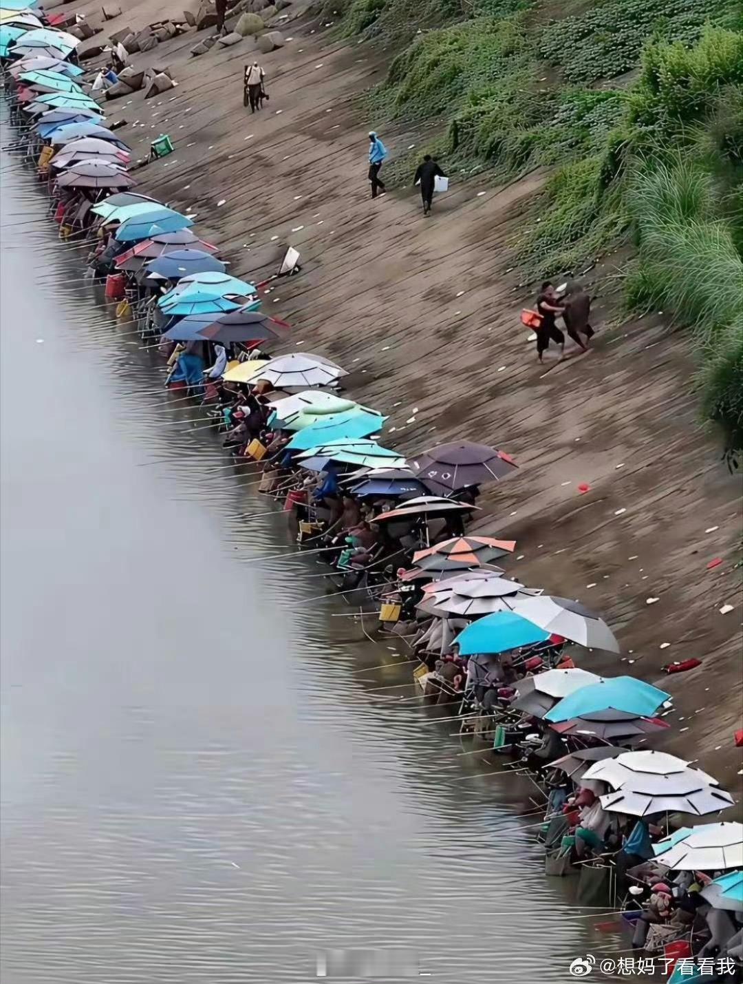 如果在这里做生意，你说卖点什么好？ ​ ​​​
