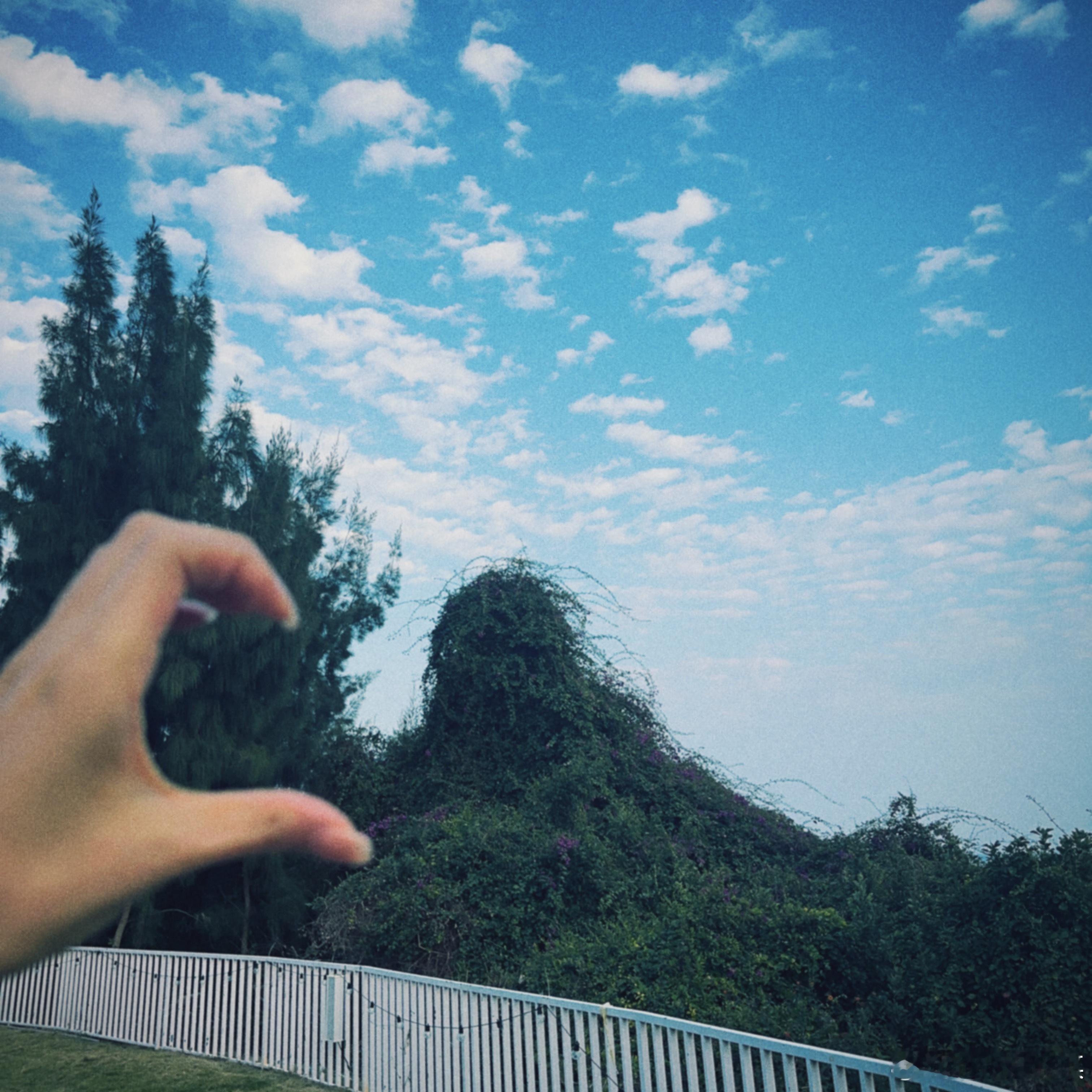 🍃 🌬️ 治愈❤️‍🩹生活有星意生活手记换个春天绿镜艾晓琪艾晓琪[超话] 