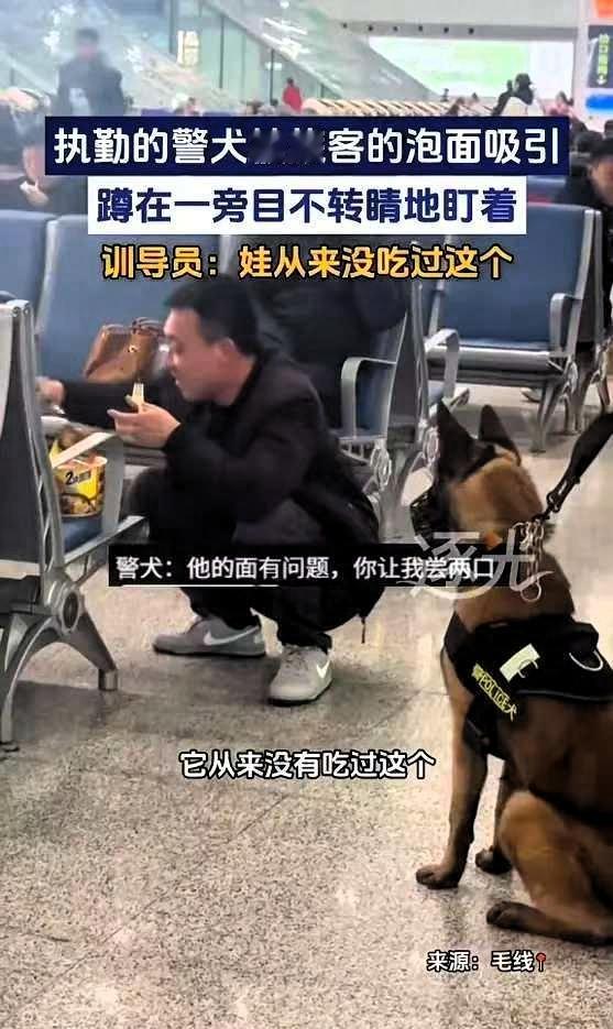 笑死人了，陕西西安，一男子在火车站候车时，觉得有点饿，便泡了桶泡面吃，浓郁的香味