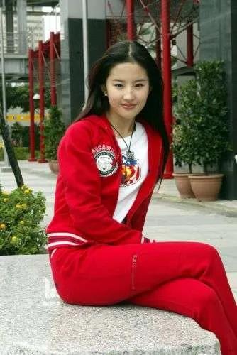 刘亦菲，一个美丽的女演员，她的演技和外貌一样出色。她出演过许多高质量的电影和电视