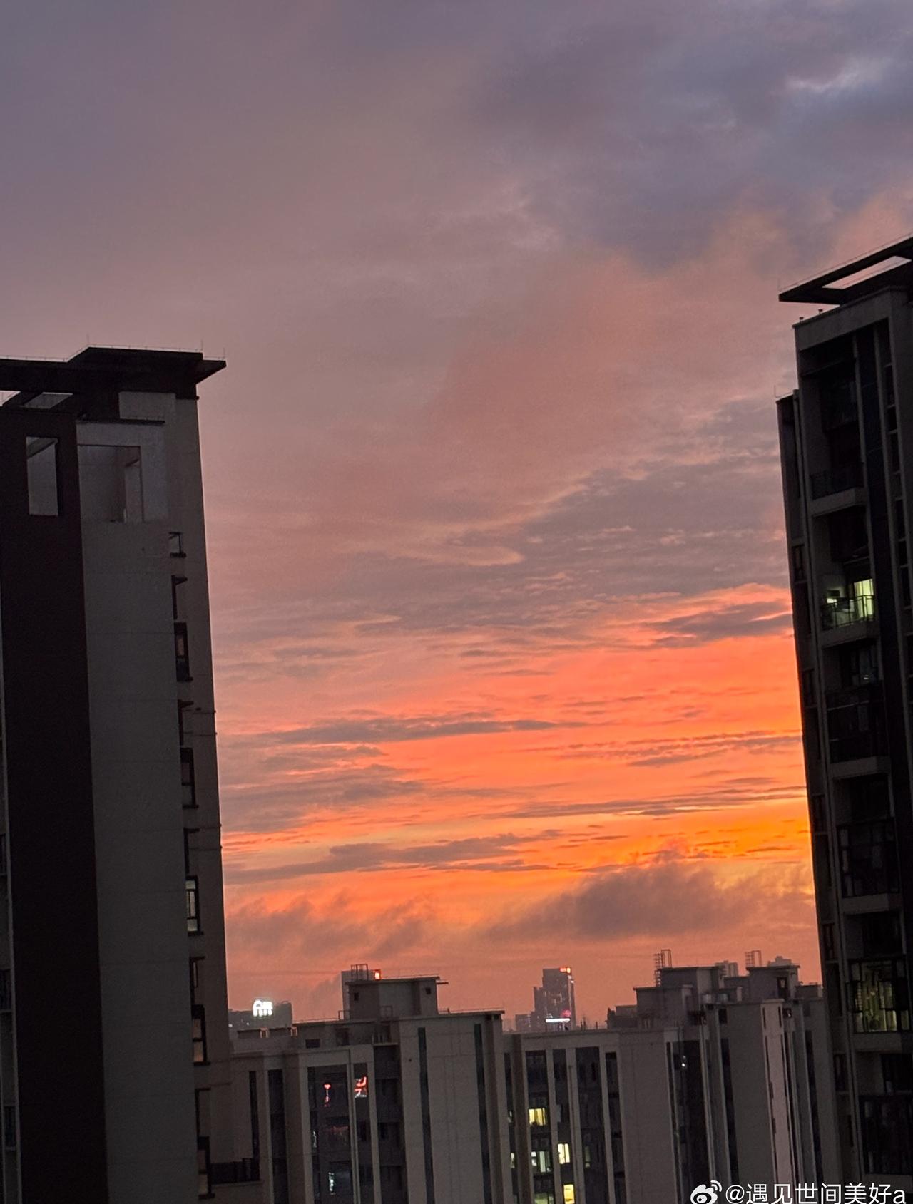 今天广佛朋友圈都在晒天空和彩虹🌈 ​​​