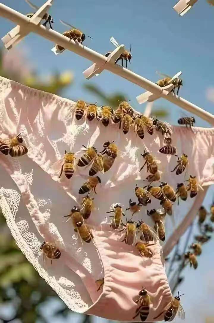 看得出来。很香，连🐝都那么喜欢