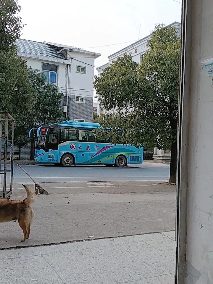 今天我和家人们到野外看柚子树，逛公园