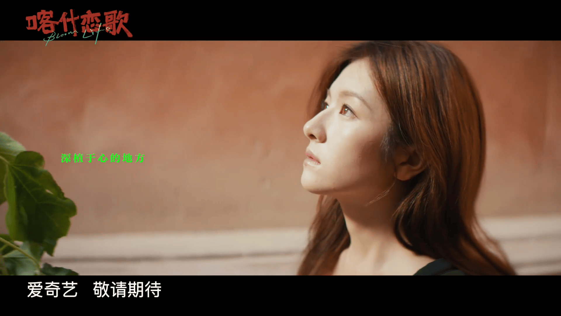 李兰迪地母系生命力李兰迪《喀什恋歌》太绝！在喀什无花果树下超有韧劲，伴着音乐起舞