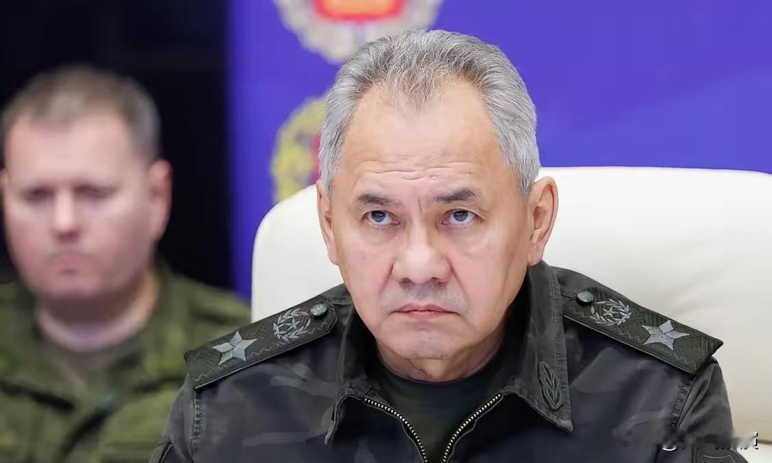 绍伊古：俄有权对芬兰和波罗的海三国行使“自卫权”

俄方这次把态度摆得明明白白，