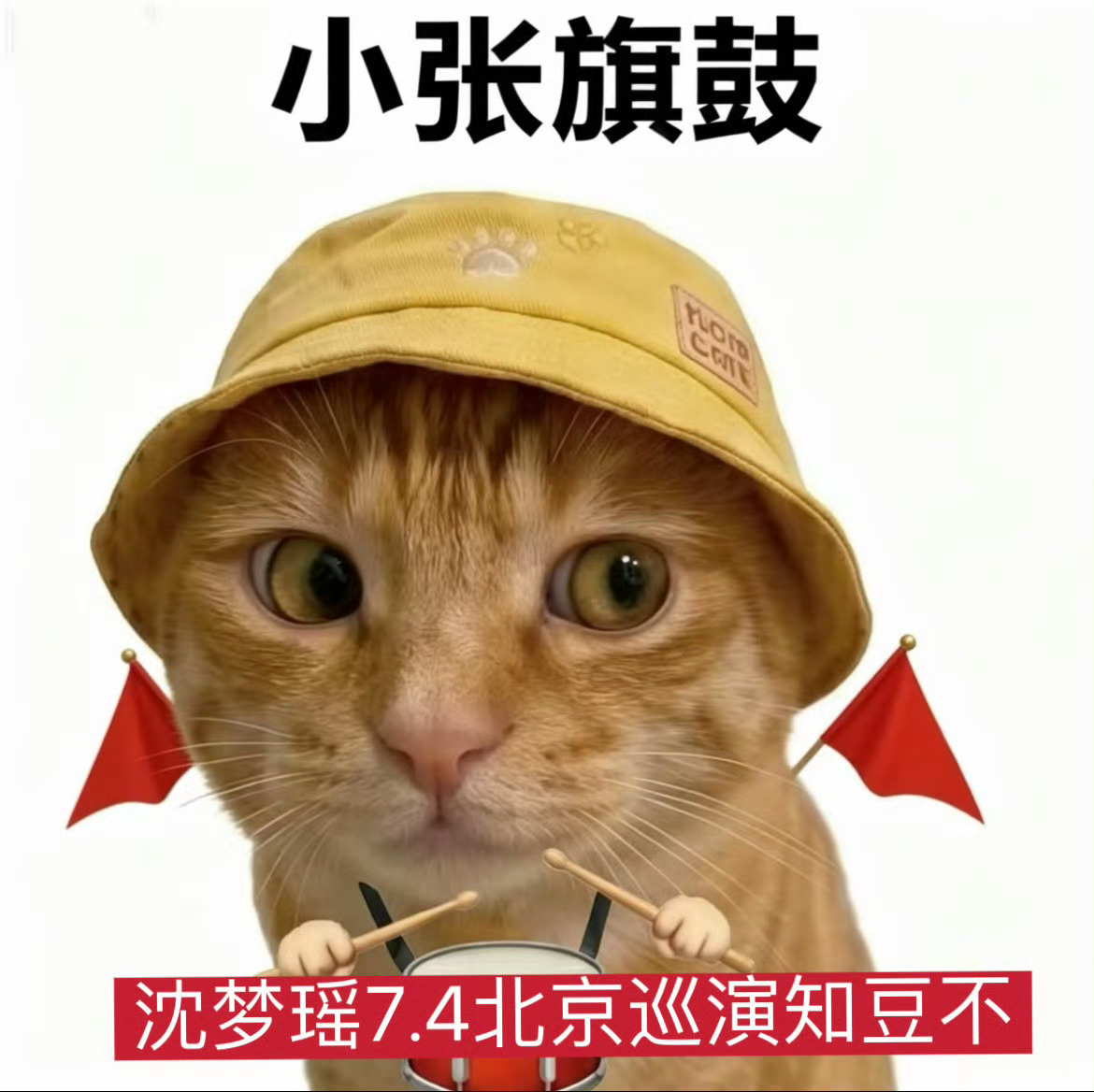 哈哈哈哈哈哈 